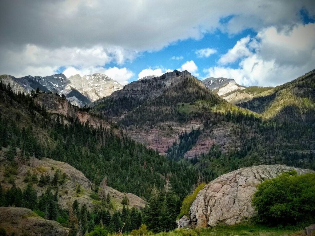 Green trees on mountain under blue sky during daytime